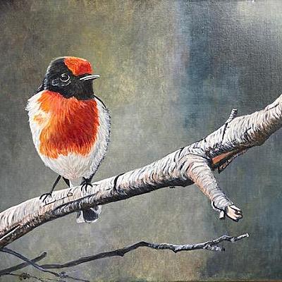 Oiseau sur une branche